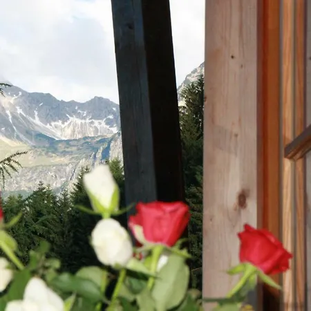 Appartement Alpenhof *